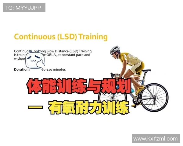 打造健康体魄的全方位锻炼计划助你增强体能提升生活质量