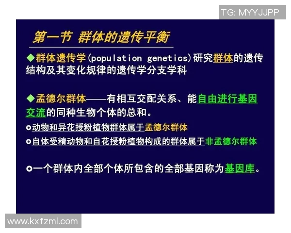 当代社会中个体自由与社会责任的平衡问题探讨
